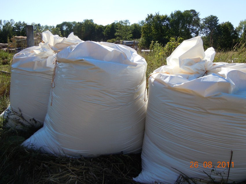 CEDAR SHAVINGS CEDAR SHAVINGS